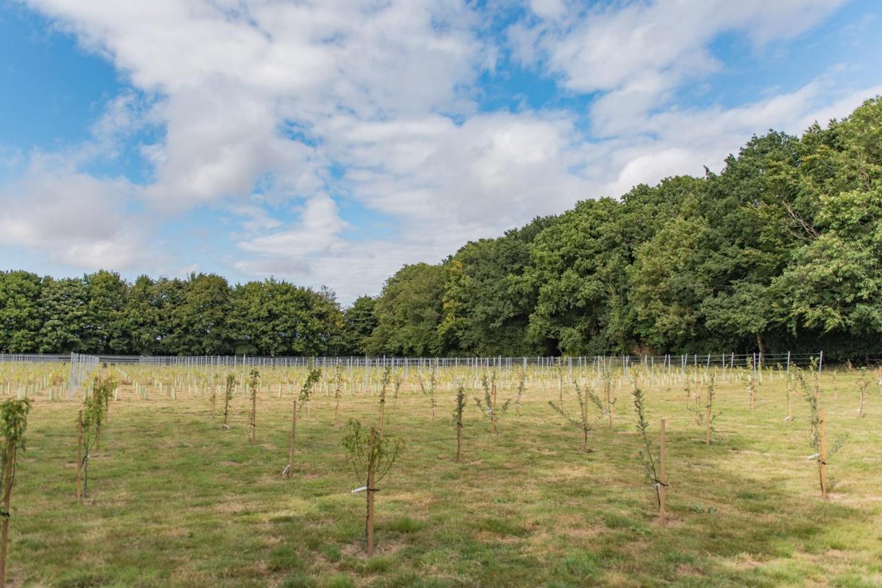 Bacchus By Bloom Stays Canterbury Esterno foto