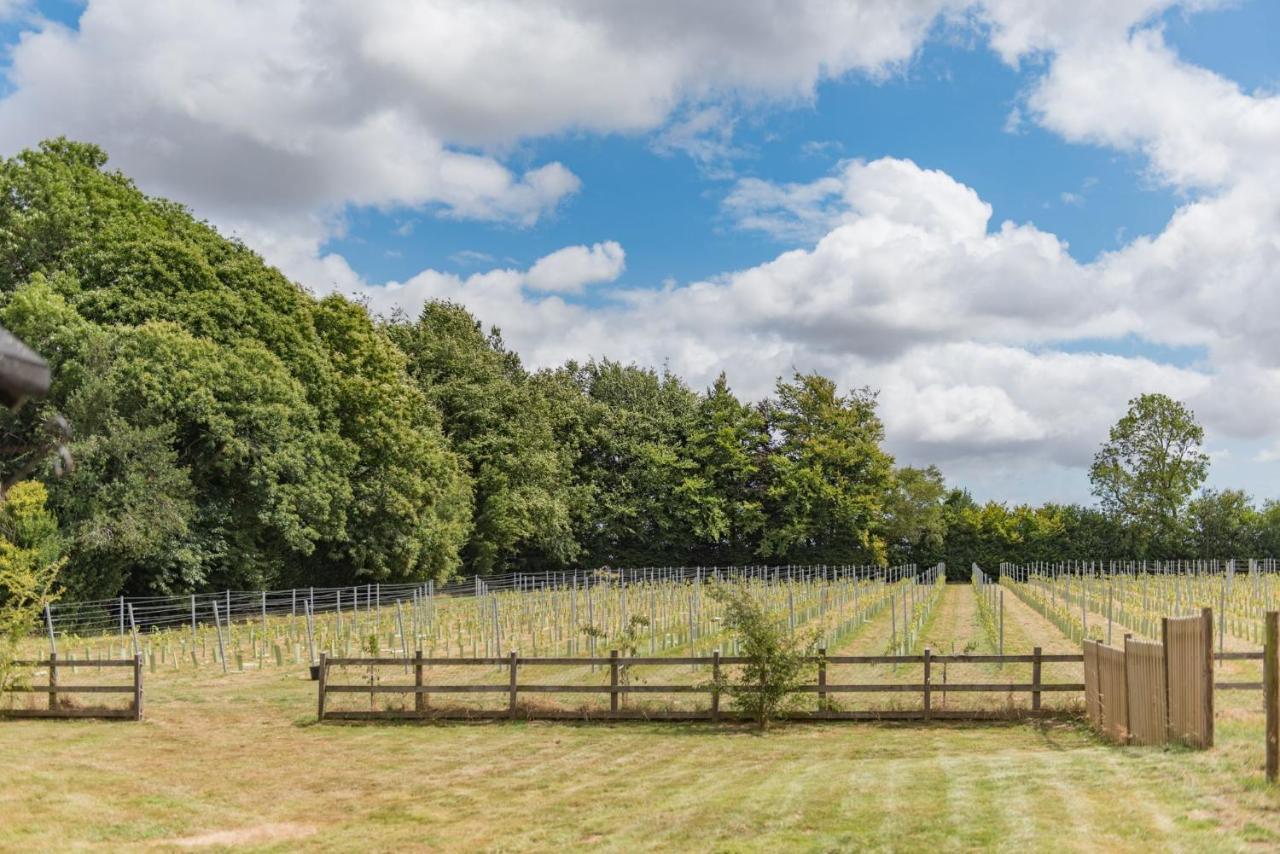 Bacchus By Bloom Stays Canterbury Esterno foto